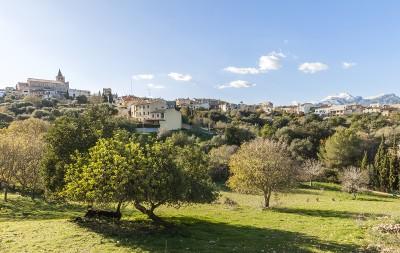 Campanet Countryside