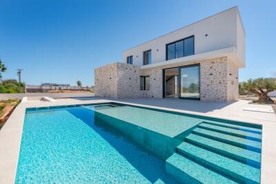 Exterior and Pool (1)