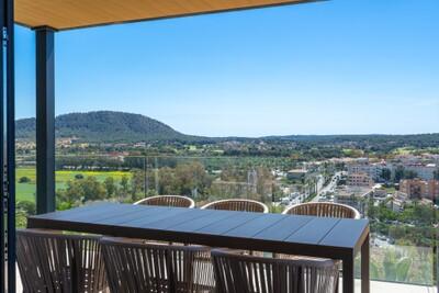 Terrace (2)