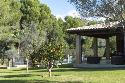 Garden (1)