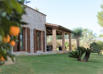 Garden (4)