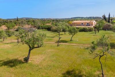 Aerial (3)