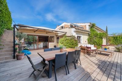 Terrace (1)