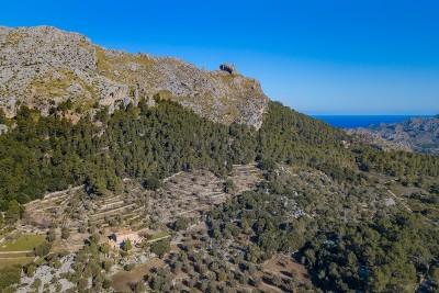 AERIAL 4