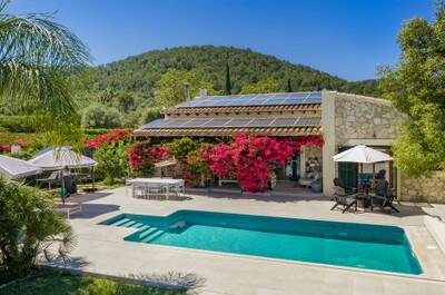 Exterior and Pool (2)