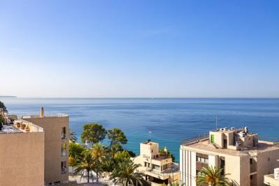 View (2)