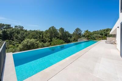 Swimming Pool (3)