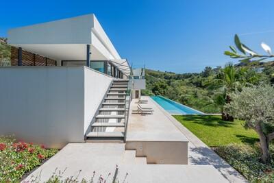 Terrace (1)