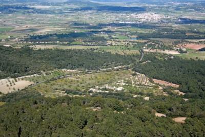 Algaida Countryside Aerial