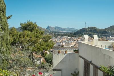 View (1)