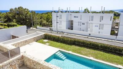 Overview (2)