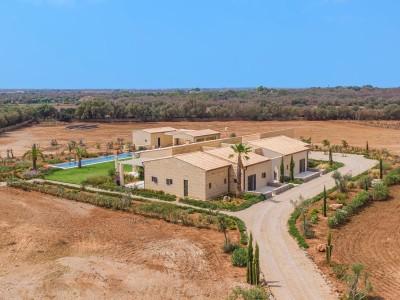 Aerial (5)