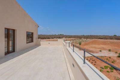 Upper Terrace (2)