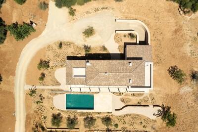 Aerial (6)