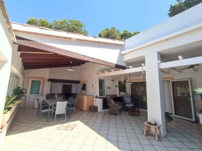 Terrace (2)