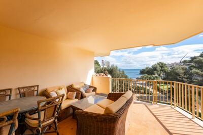 terrace (2)