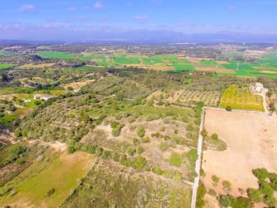 big-201120241732121573-20220125-terreno-1---3