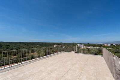 Roof Terrace