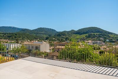 Terrace View