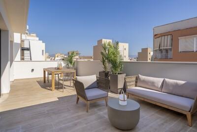 Terrace (1)