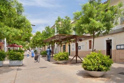Santa Catalina Streets