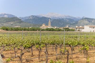 Binissalem Countryside 01