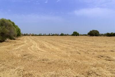 PLOT B (3)