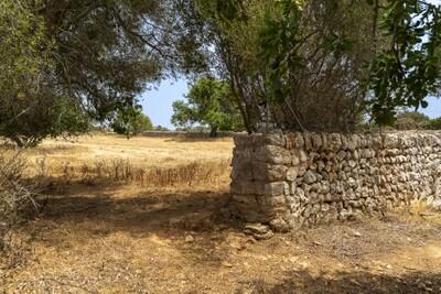 PLOT B (4)