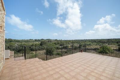 Upper Terrace (2)