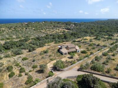 Aerial (2)