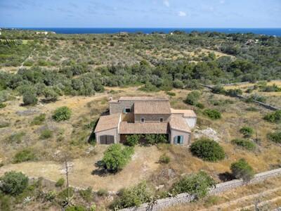 Aerial (3)