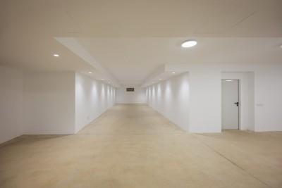 Basement - Garage (1)