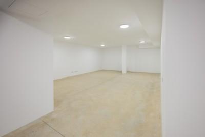 Basement - Garage (4)