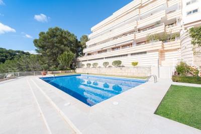 Exterior and Pool (2)