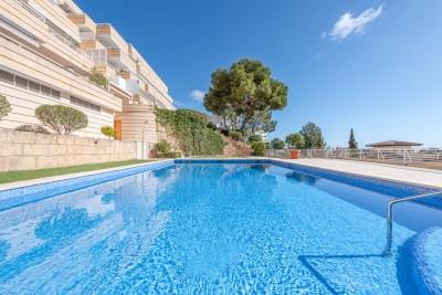 Exterior and Pool (1)