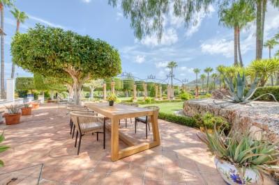 Patio (3)