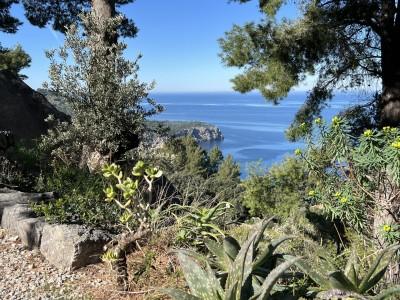Views from the casita (3)