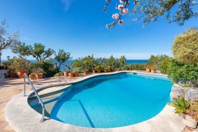 Pool (1)