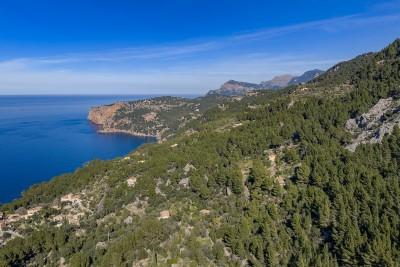 Aerial (6)