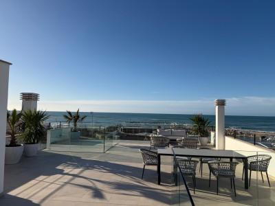 Terrace (3)
