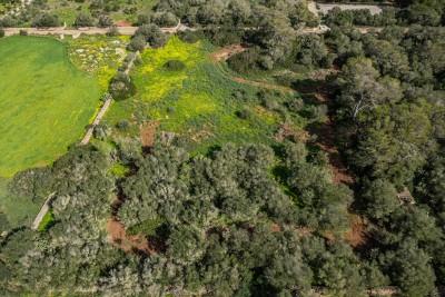 Aerial (9)