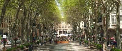 C4-6-Palma-apartments-Paseo-del-Borne-min