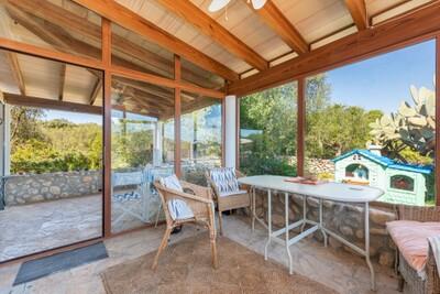 Summer Room