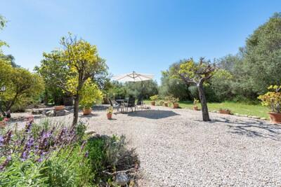 Garden (1)