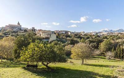 Campanet Countryside
