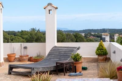 Roof terrace (1)