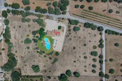Aerial (3)
