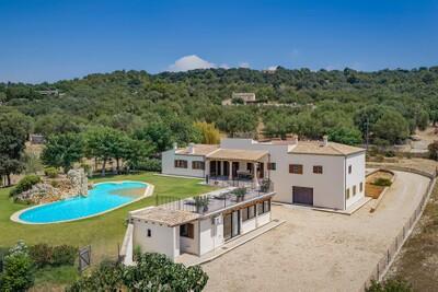 Aerial (4)