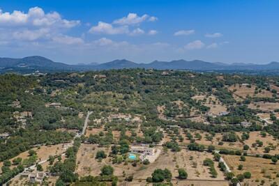 Aerial (1)