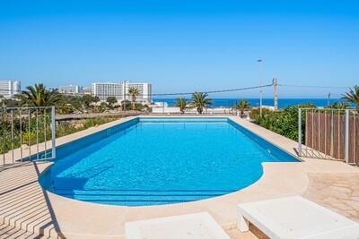 Swimming Pool (2)